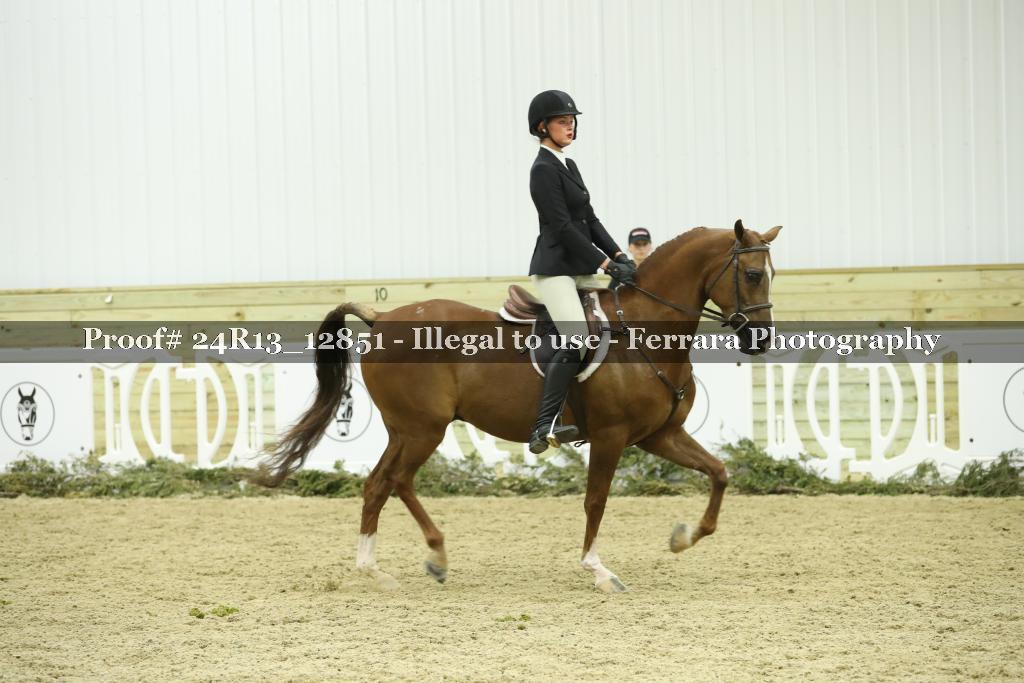 Proof 24R13_12851