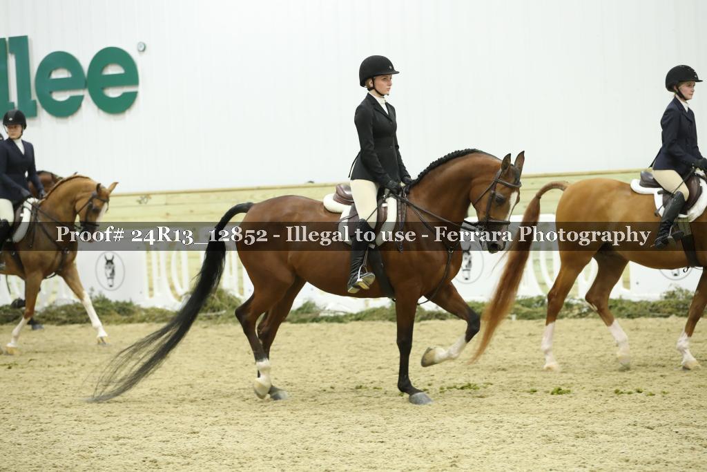 Proof 24R13_12852