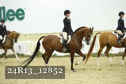 24R13_12852 proof