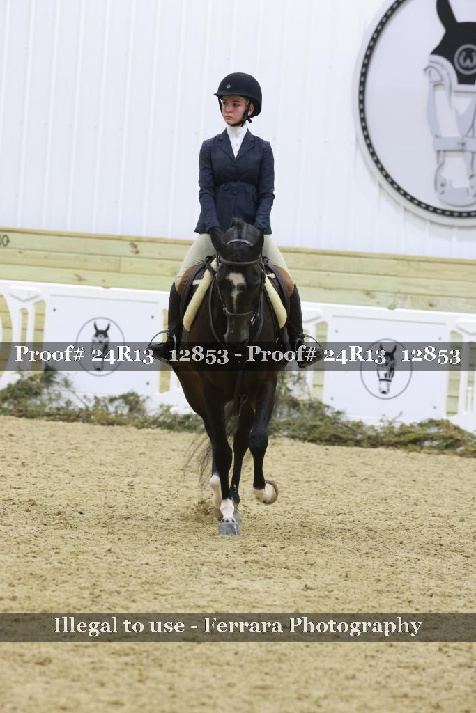 Proof 24R13_12853