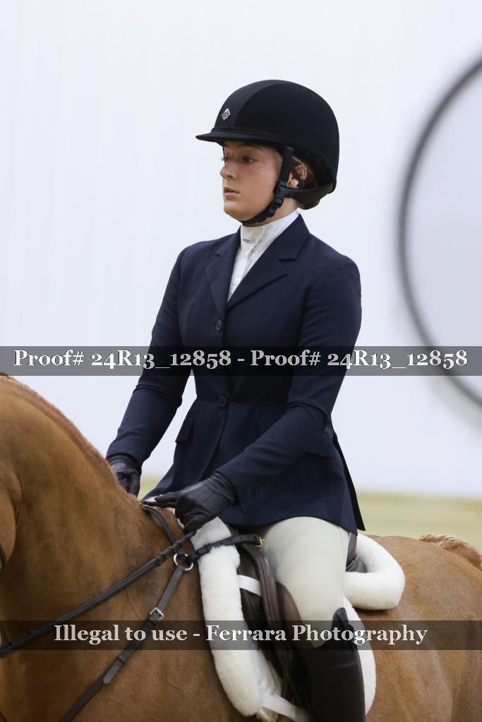 Proof 24R13_12858