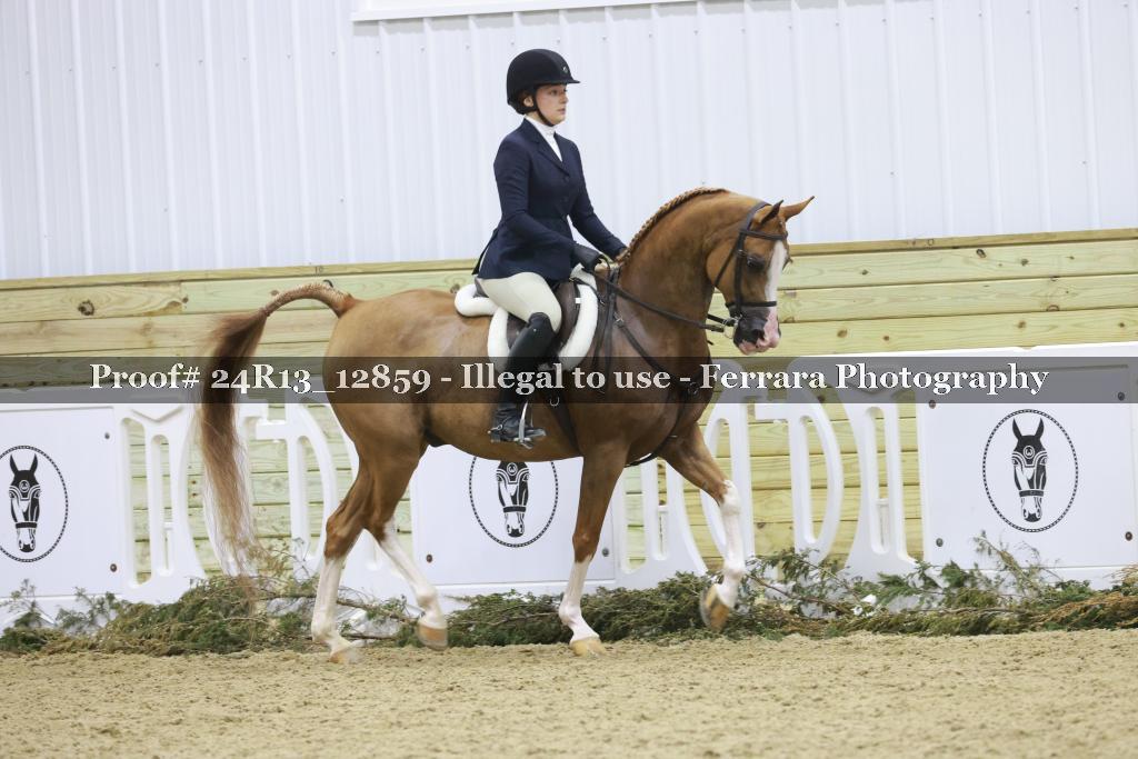 Proof 24R13_12859