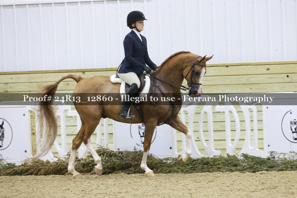 Proof 24R13_12860