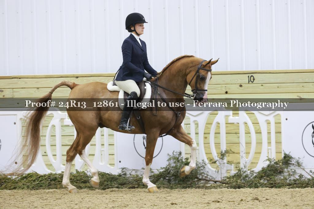 Proof 24R13_12861