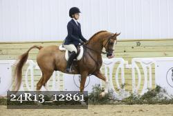 24R13_12861 proof