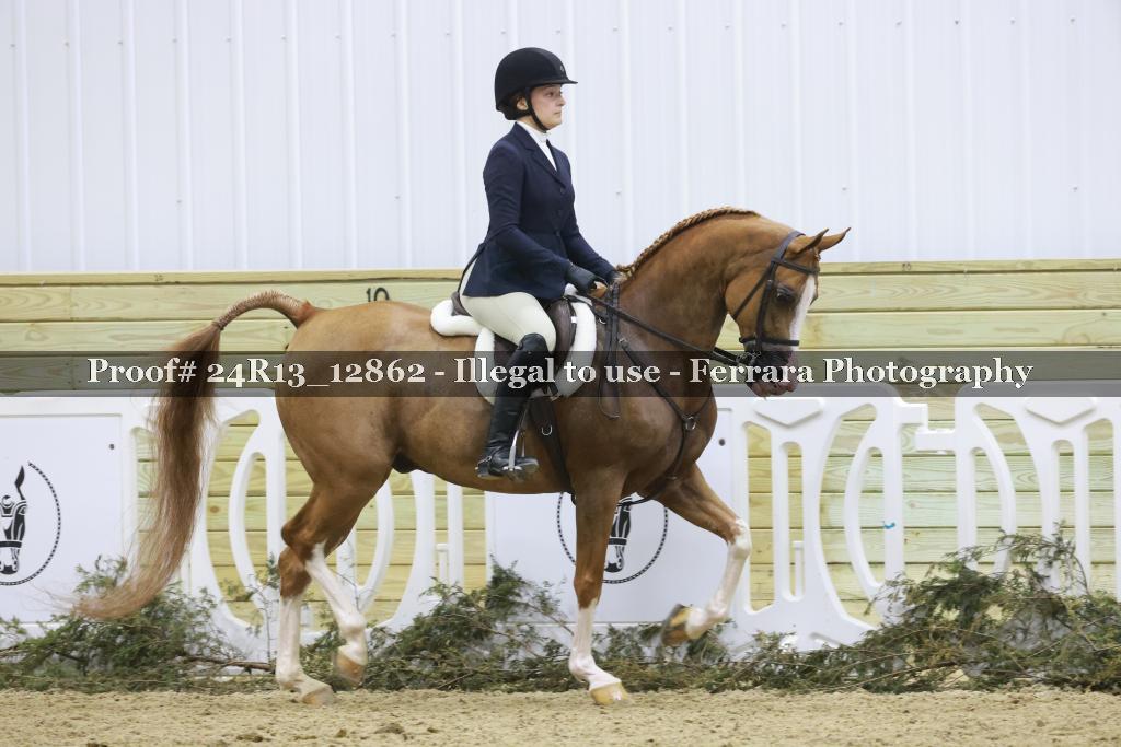 Proof 24R13_12862