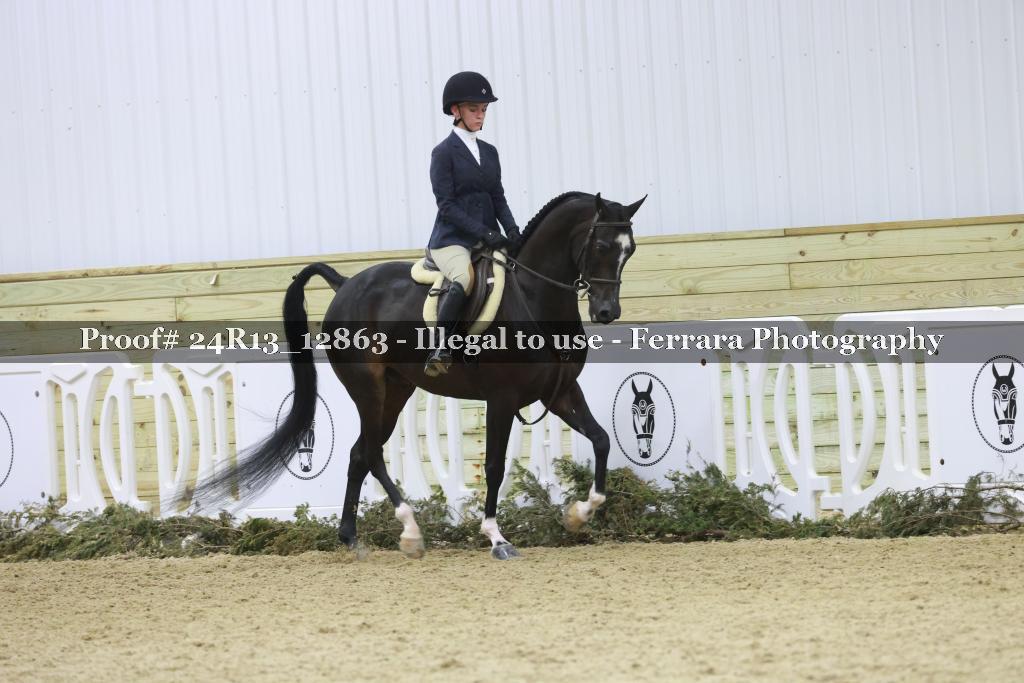 Proof 24R13_12863