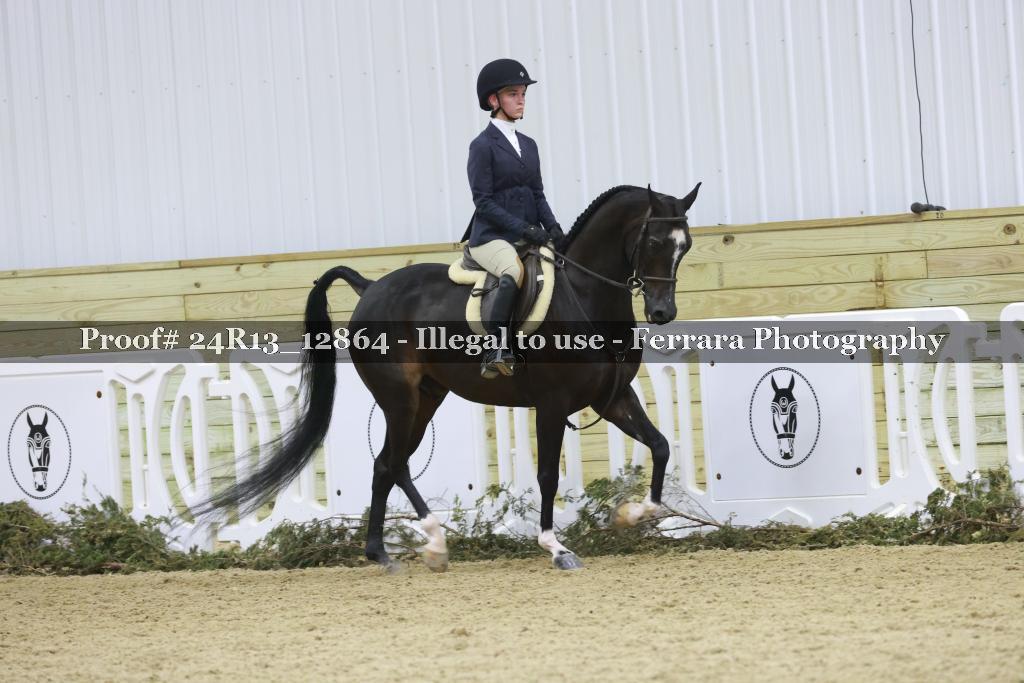 Proof 24R13_12864