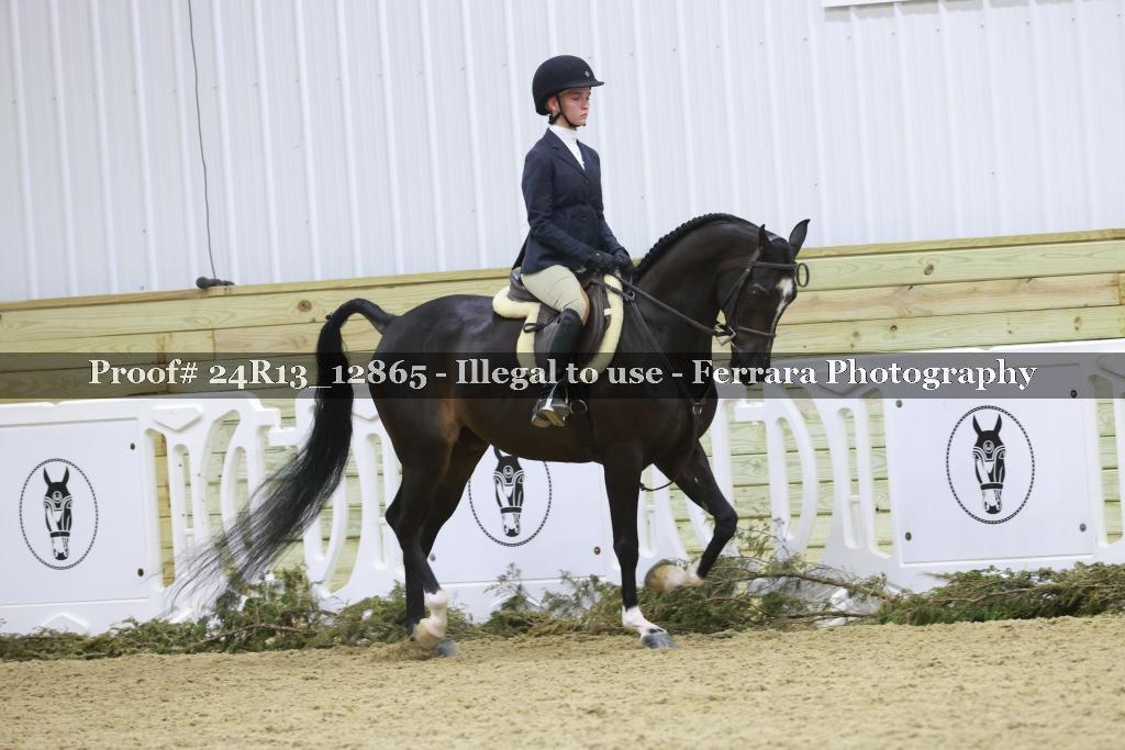Proof 24R13_12865