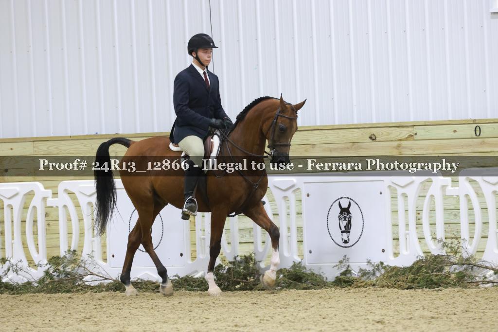 Proof 24R13_12866