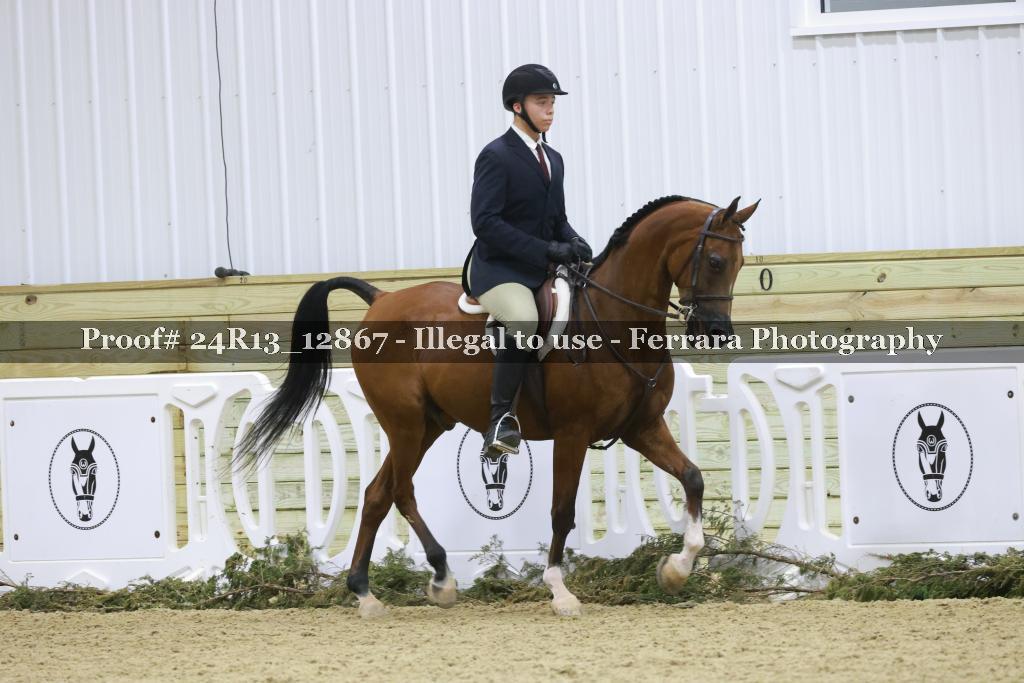 Proof 24R13_12867