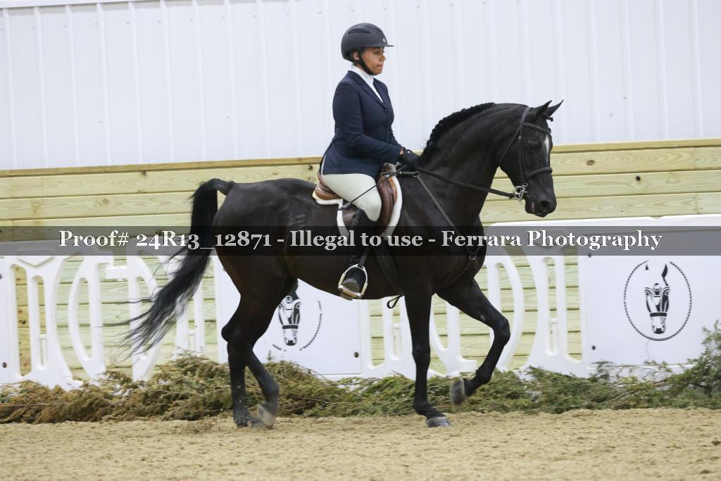 Proof 24R13_12871