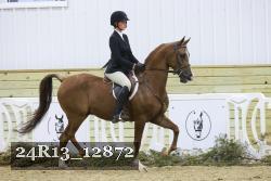 24R13_12872 proof