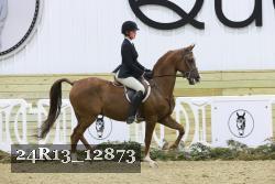 24R13_12873 proof