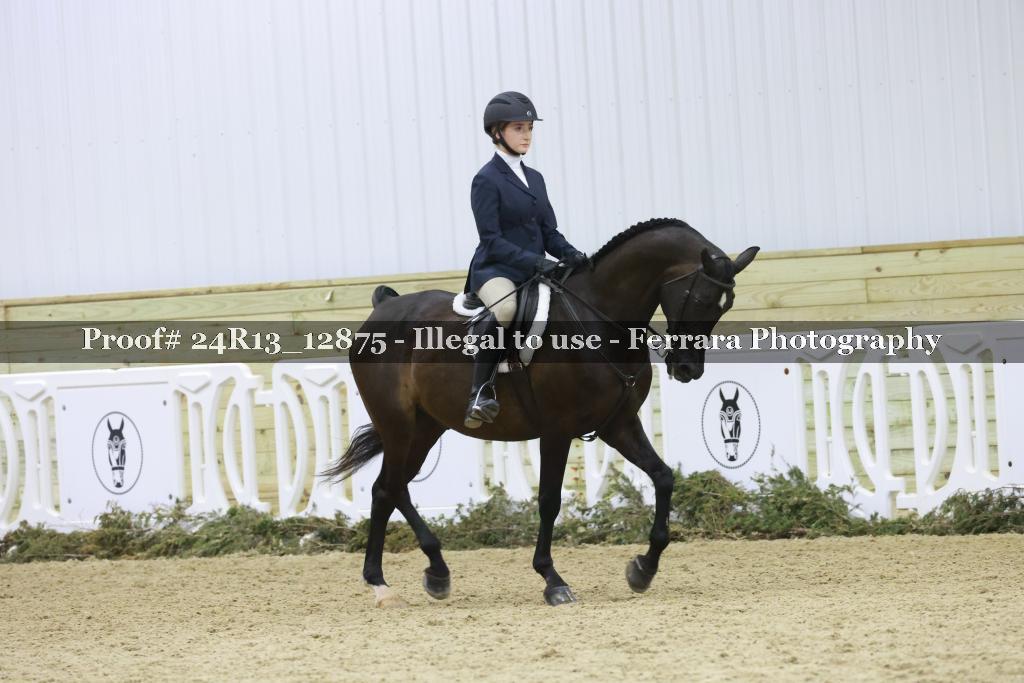 Proof 24R13_12875
