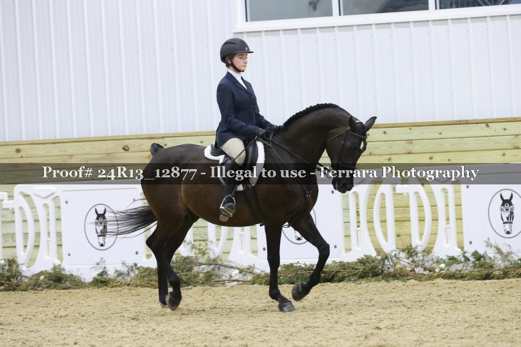 Proof 24R13_12877