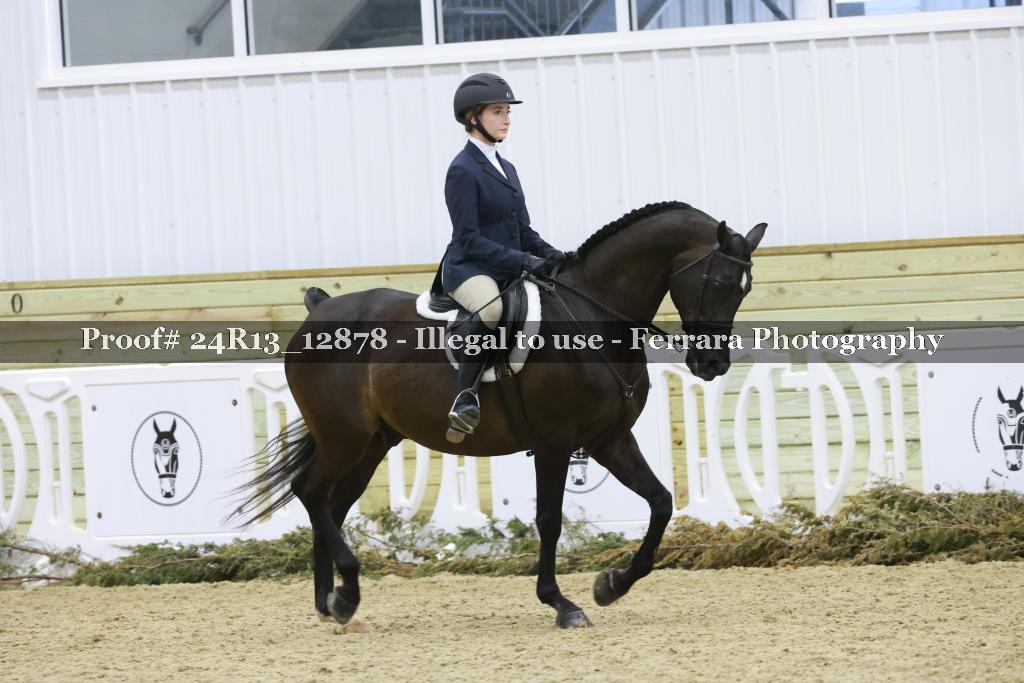 Proof 24R13_12878