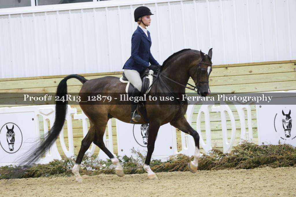 Proof 24R13_12879