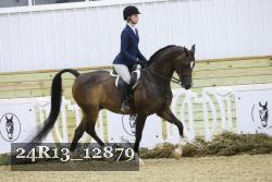 24R13_12879 proof