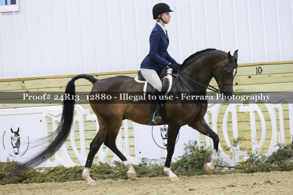 Proof 24R13_12880