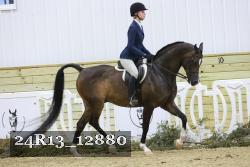 24R13_12880 proof