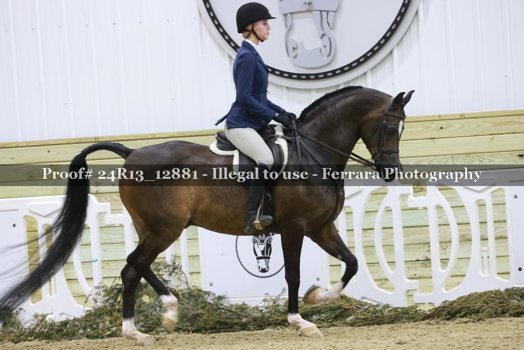 Proof 24R13_12881