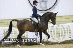 24R13_12881 proof