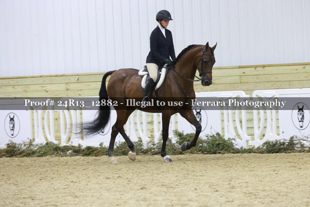 Proof 24R13_12882