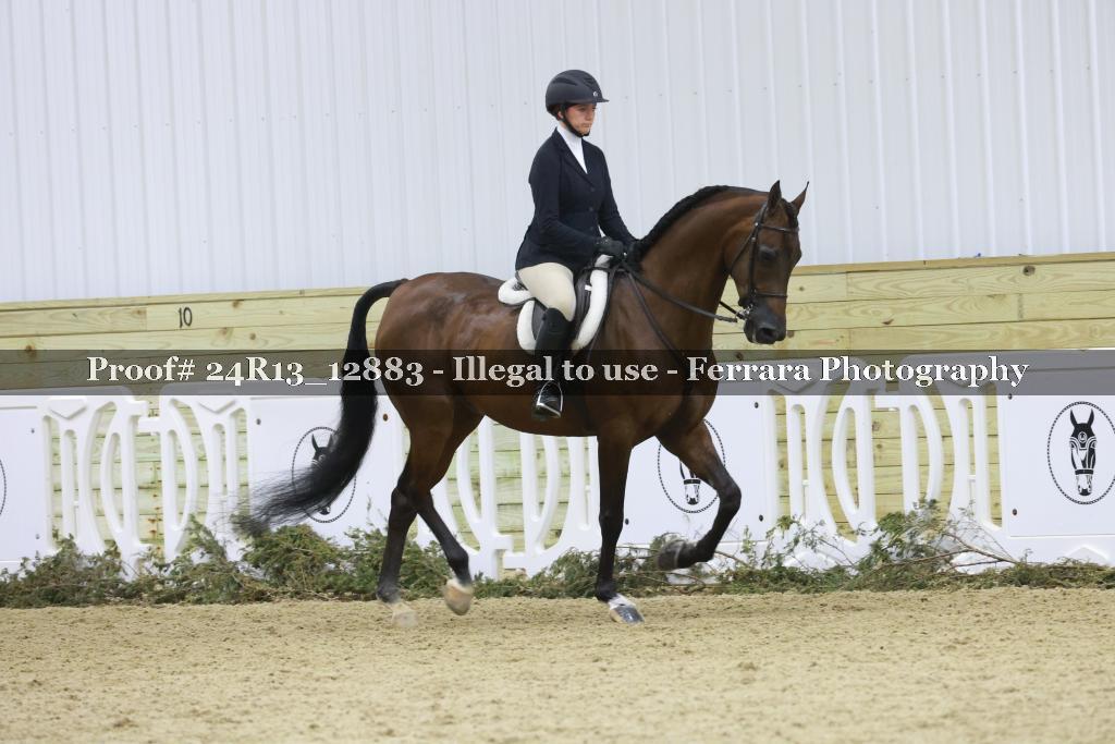Proof 24R13_12883