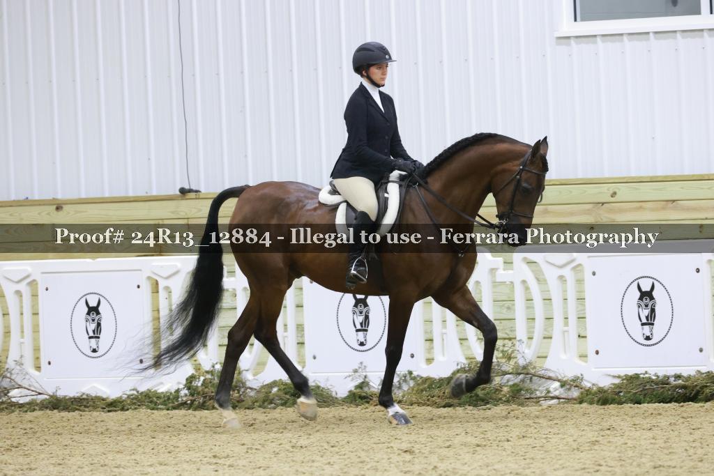 Proof 24R13_12884