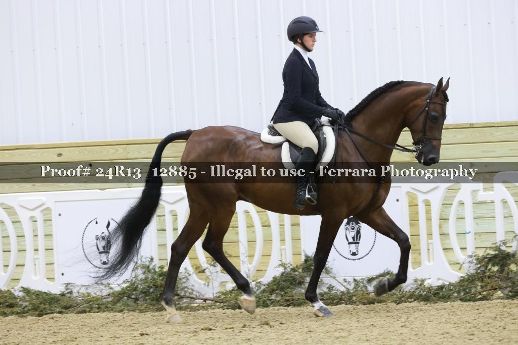 Proof 24R13_12885