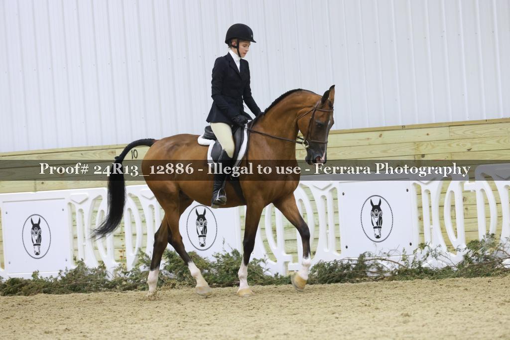 Proof 24R13_12886
