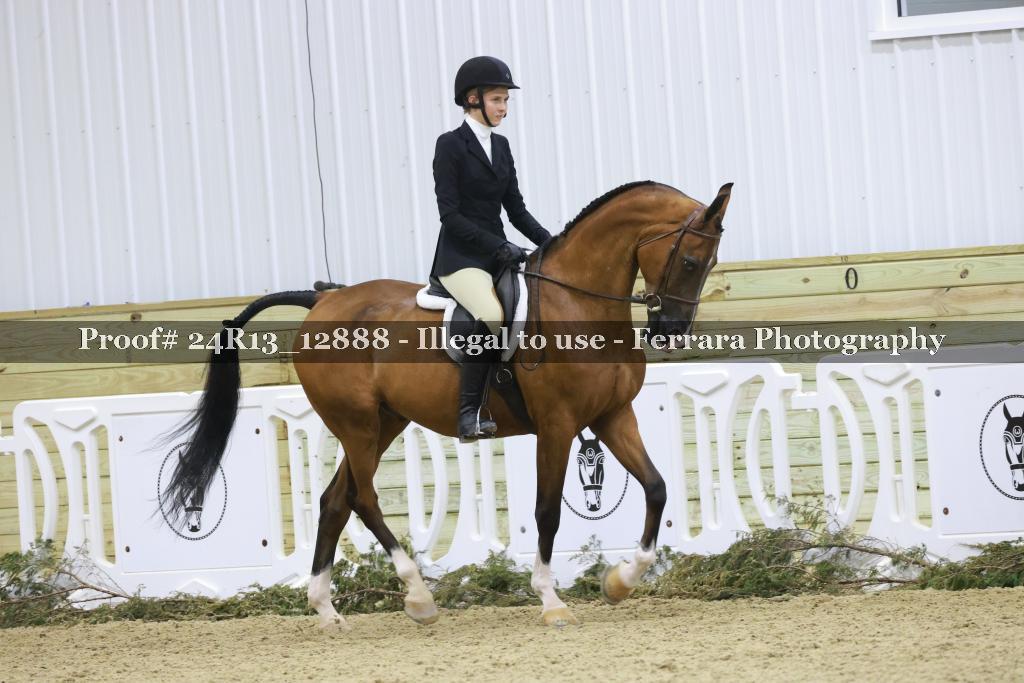 Proof 24R13_12888