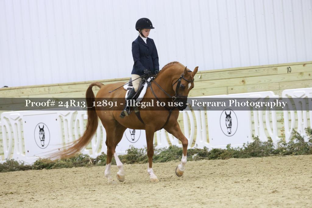 Proof 24R13_12891