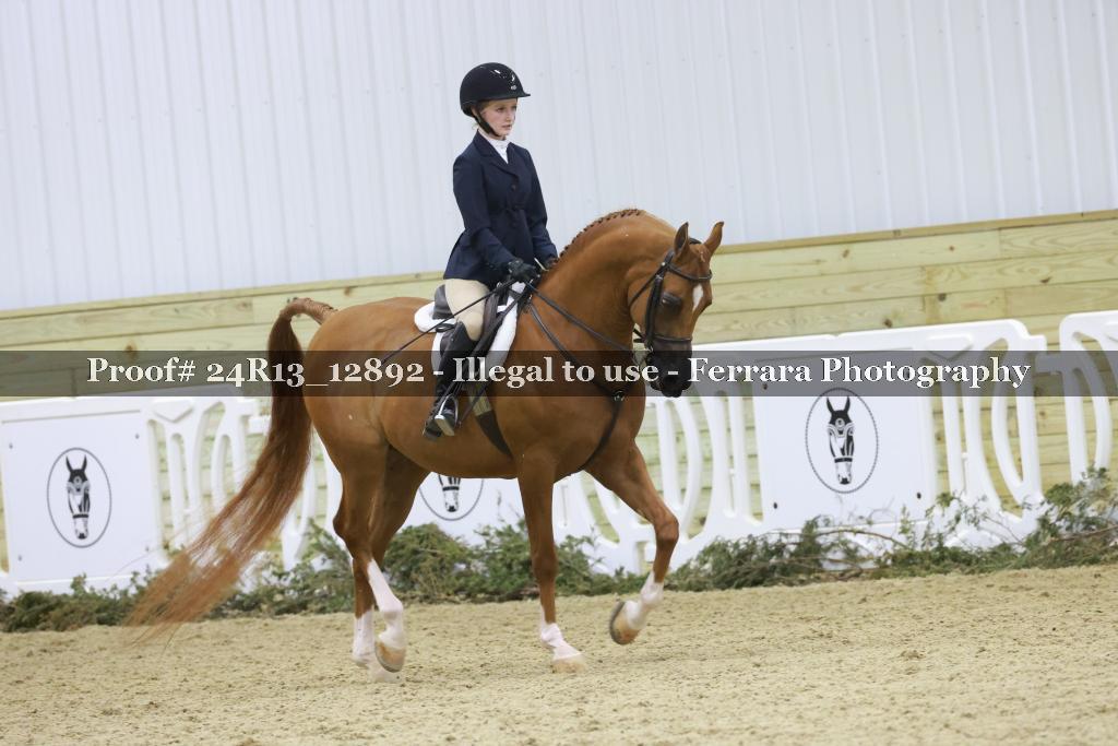 Proof 24R13_12892