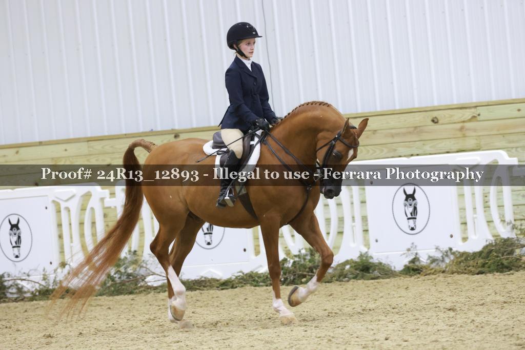 Proof 24R13_12893