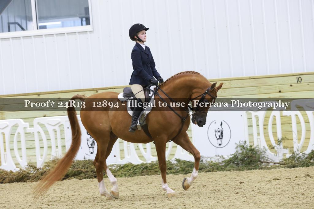 Proof 24R13_12894