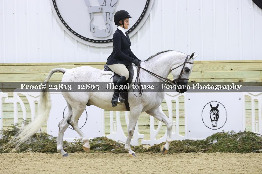 Proof 24R13_12895