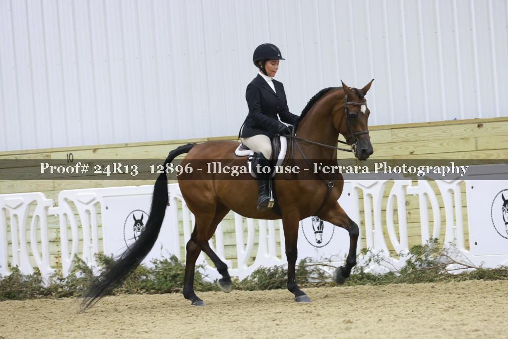 Proof 24R13_12896