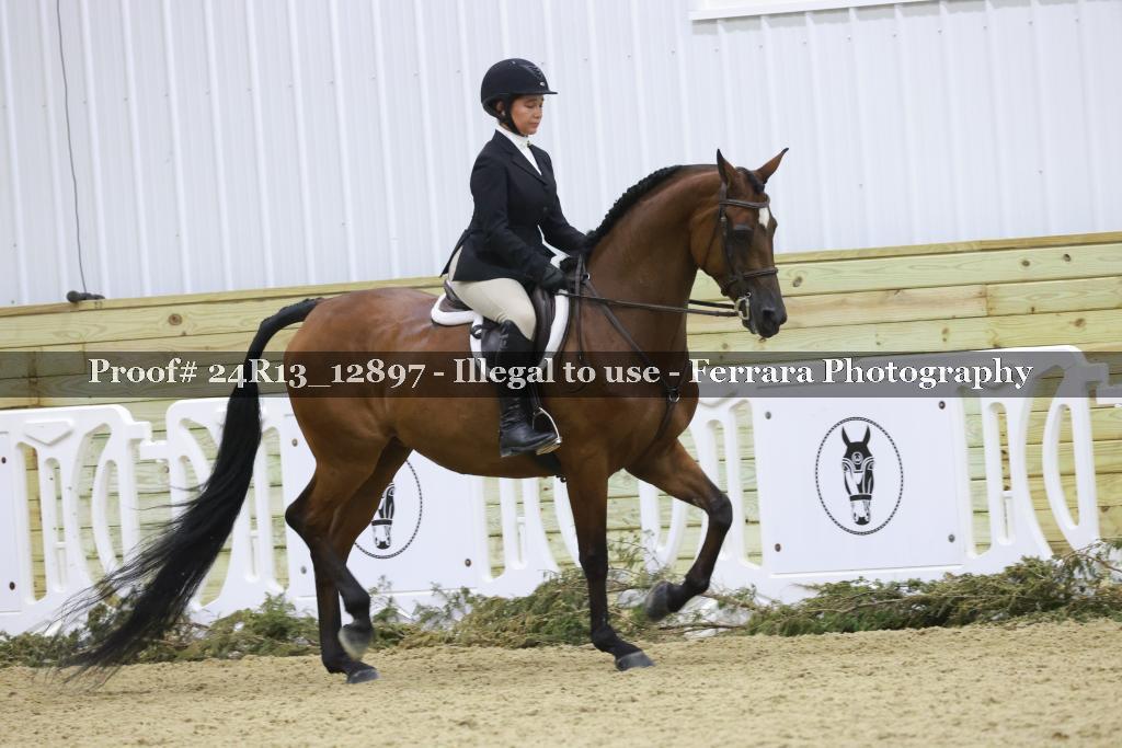 Proof 24R13_12897