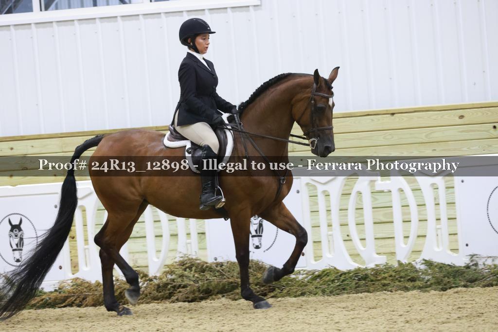 Proof 24R13_12898