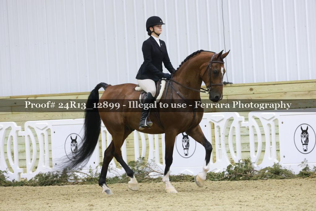 Proof 24R13_12899