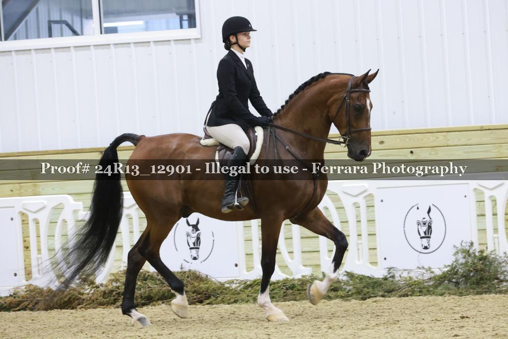 Proof 24R13_12901