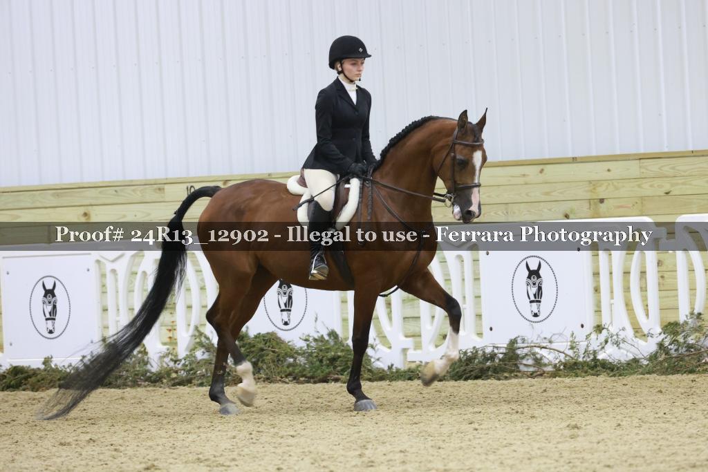 Proof 24R13_12902