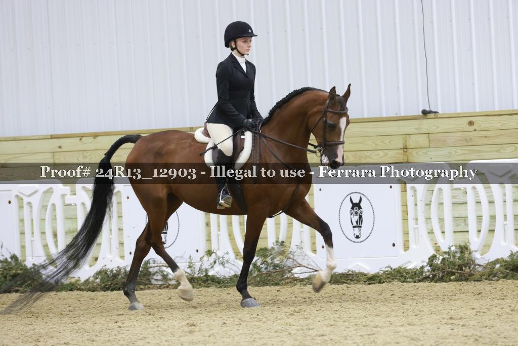 Proof 24R13_12903