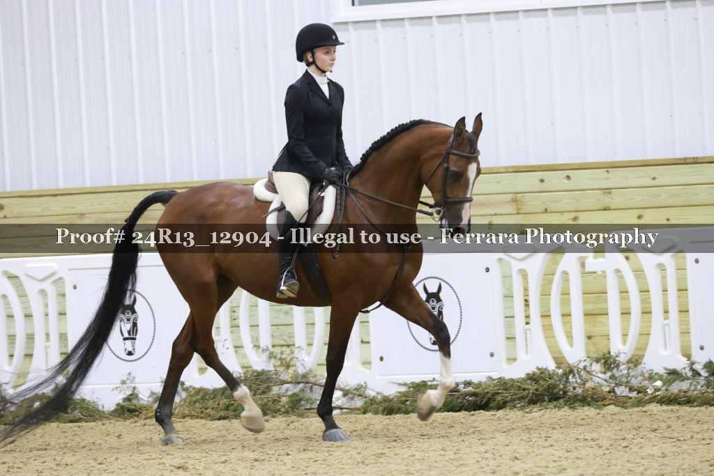 Proof 24R13_12904