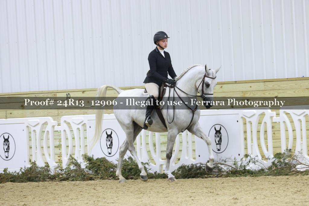 Proof 24R13_12906