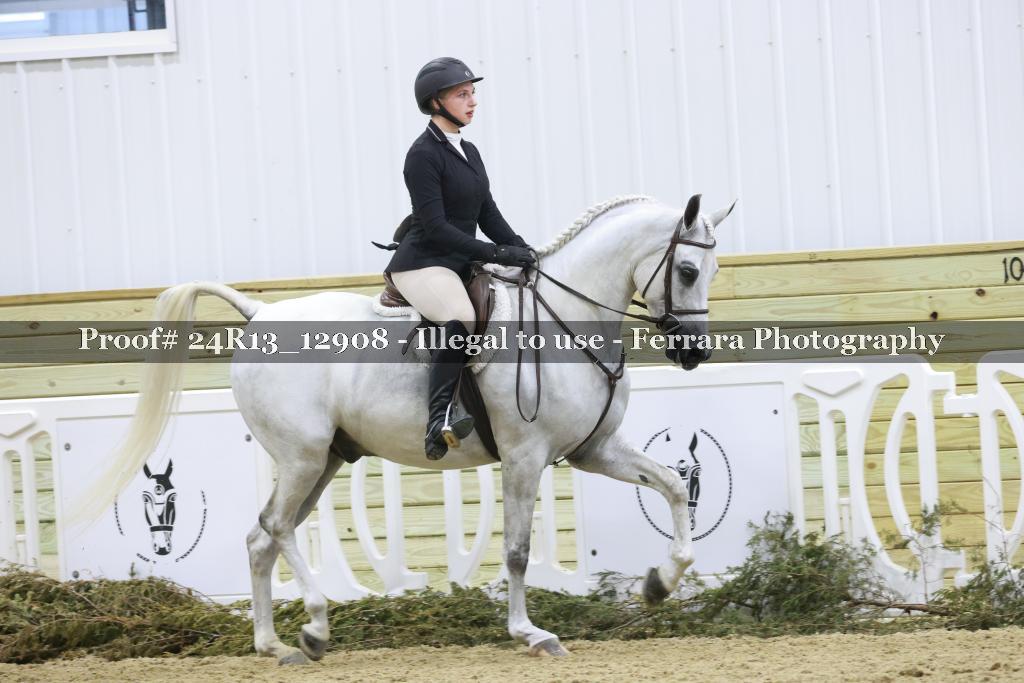 Proof 24R13_12908