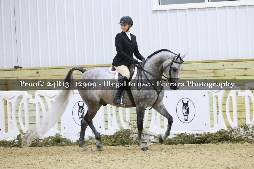 Proof 24R13_12909