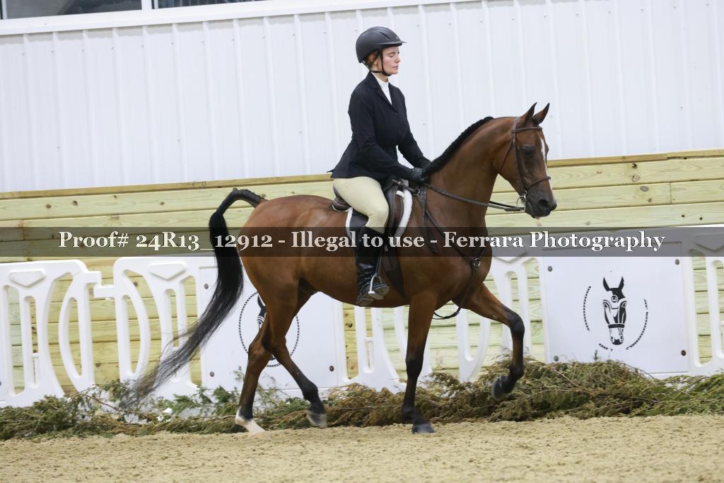 Proof 24R13_12912
